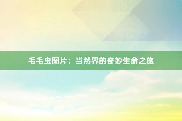 毛毛虫图片：当然界的奇妙生命之旅
